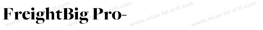 FreightBig Pro字体转换